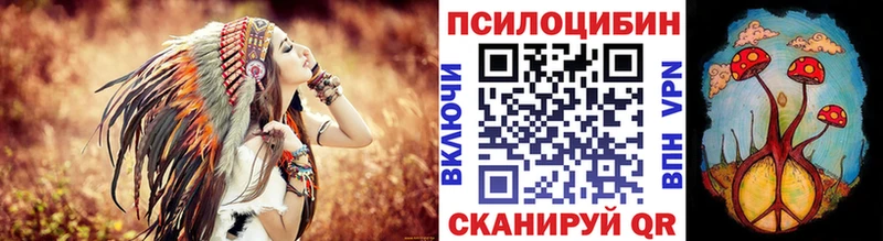 darknet наркотические препараты  Жуковский  Псилоцибиновые грибы прущие грибы  как найти наркотики 